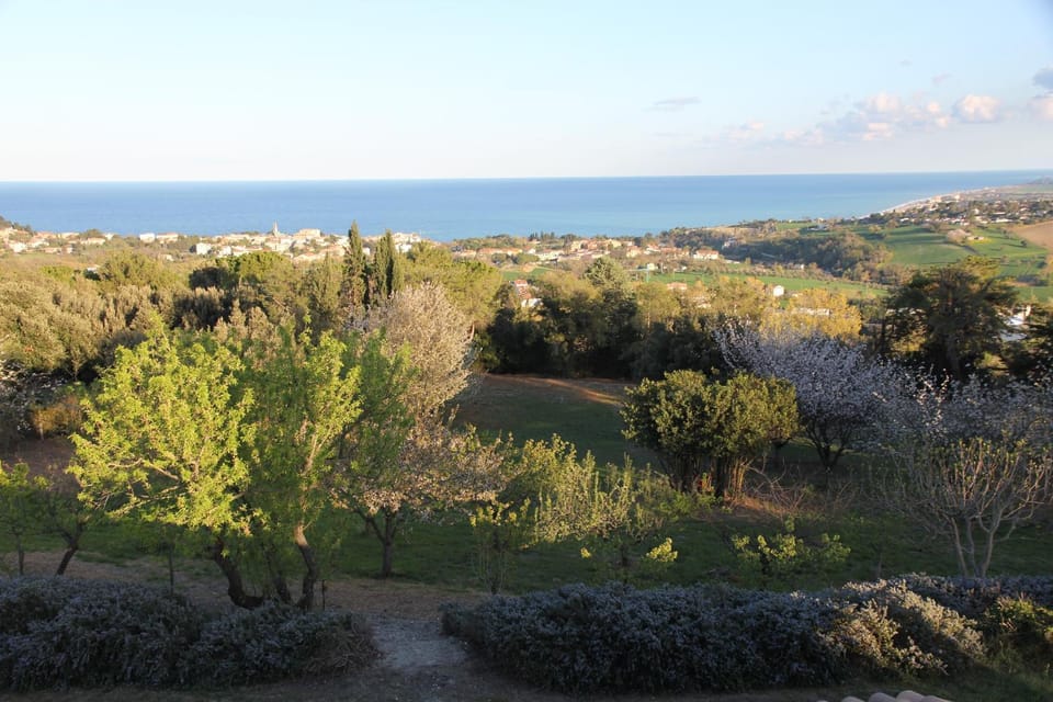 Sea view