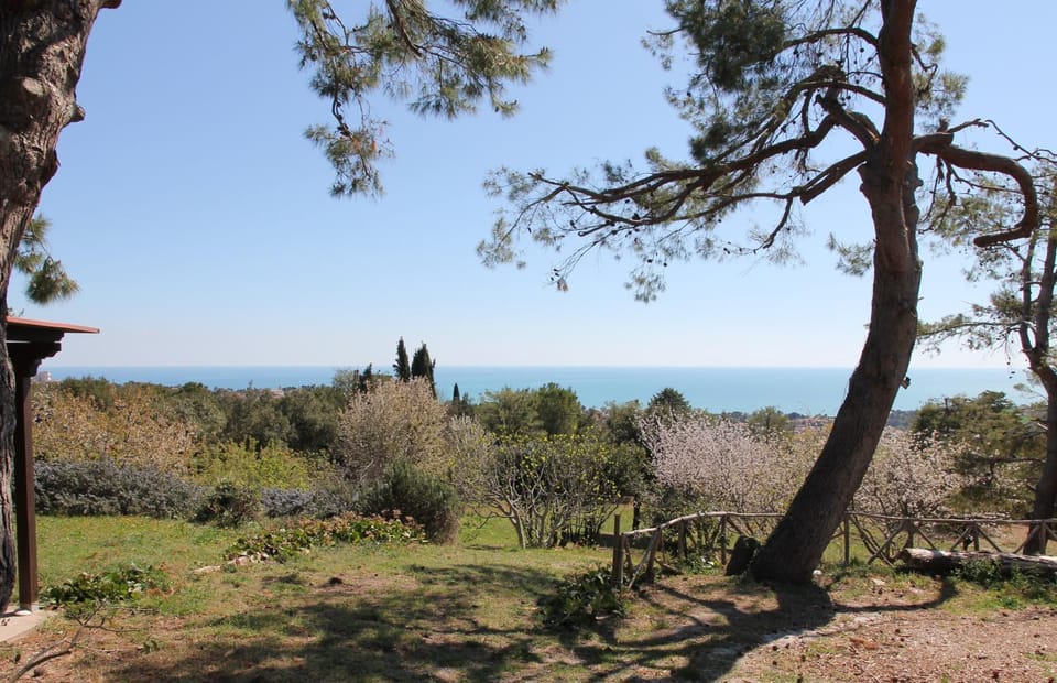 Garden view