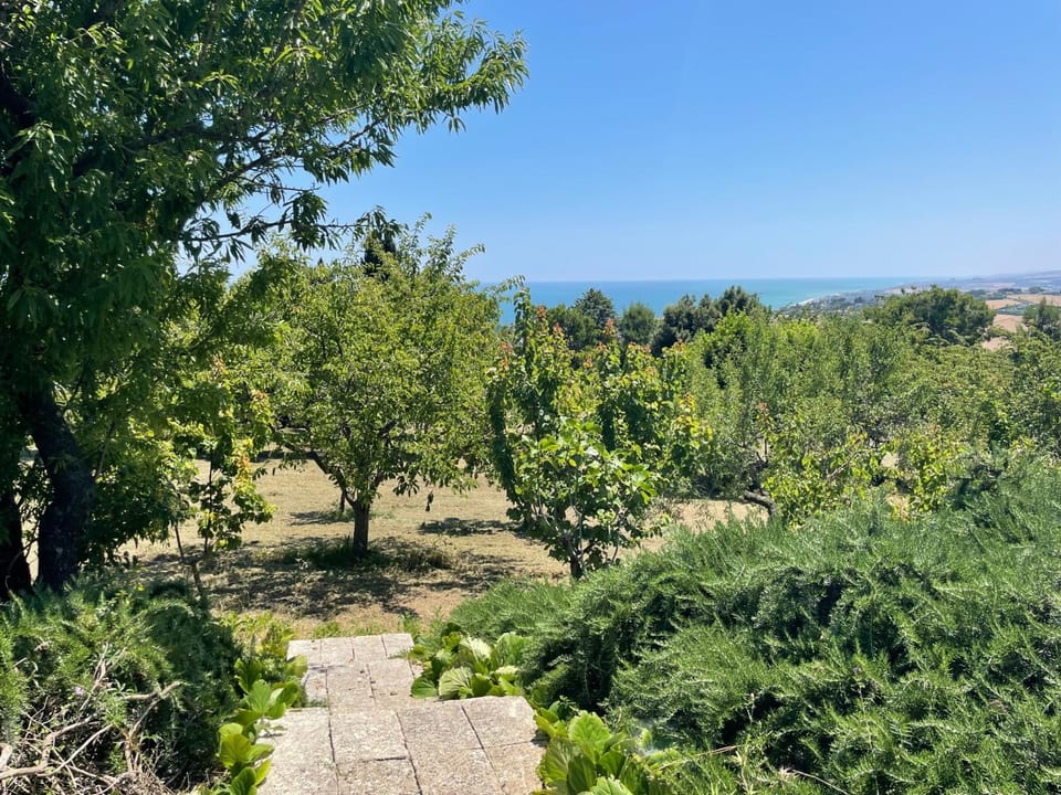 Sea view