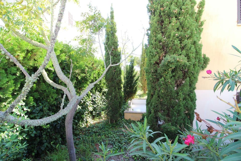 Day, Garden