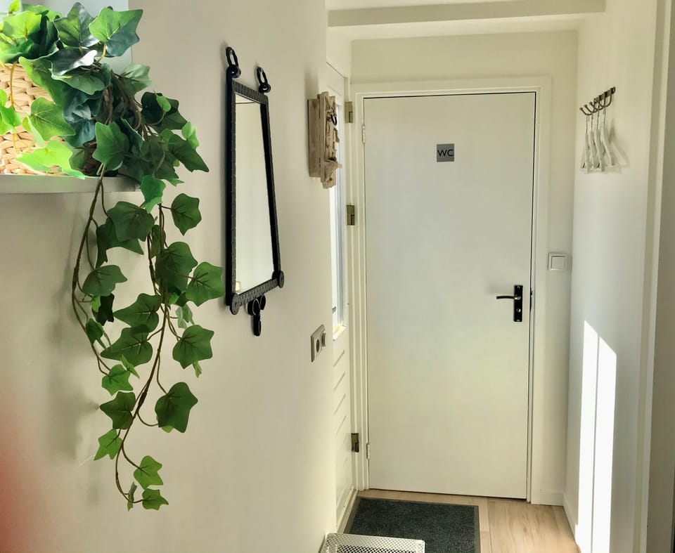 Toilet, Property building, Facade/entrance