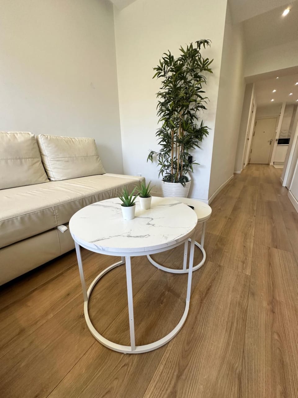 Claveles de Luxe Apartment in Malaga