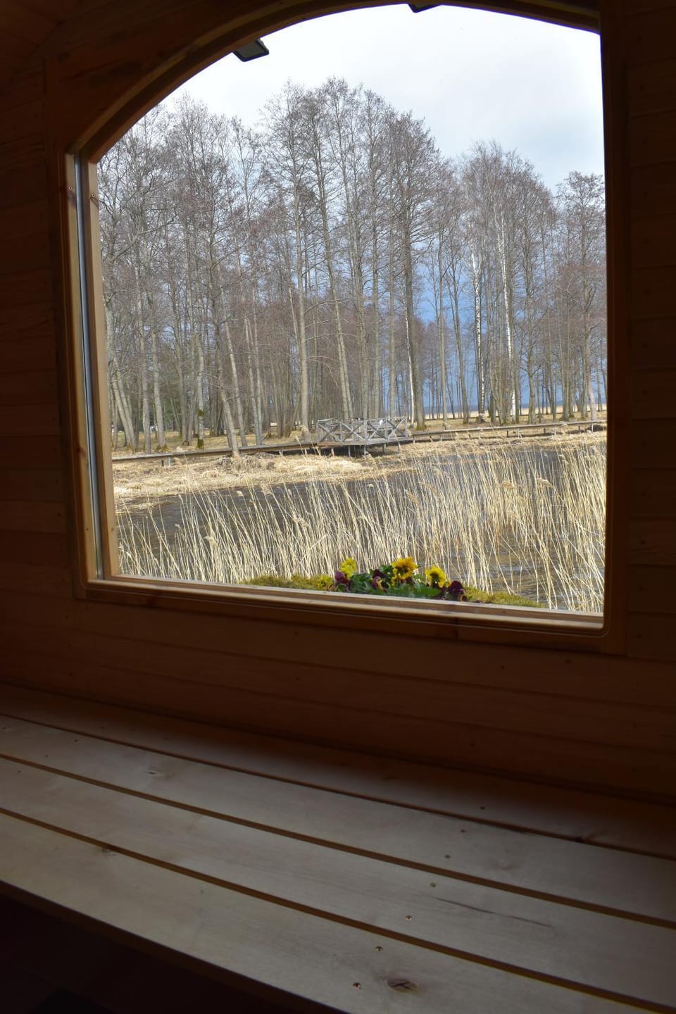 Lake view