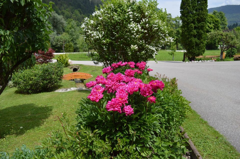 Ferienwohnungen Kilianmühle Farm Stay in Berchtesgaden