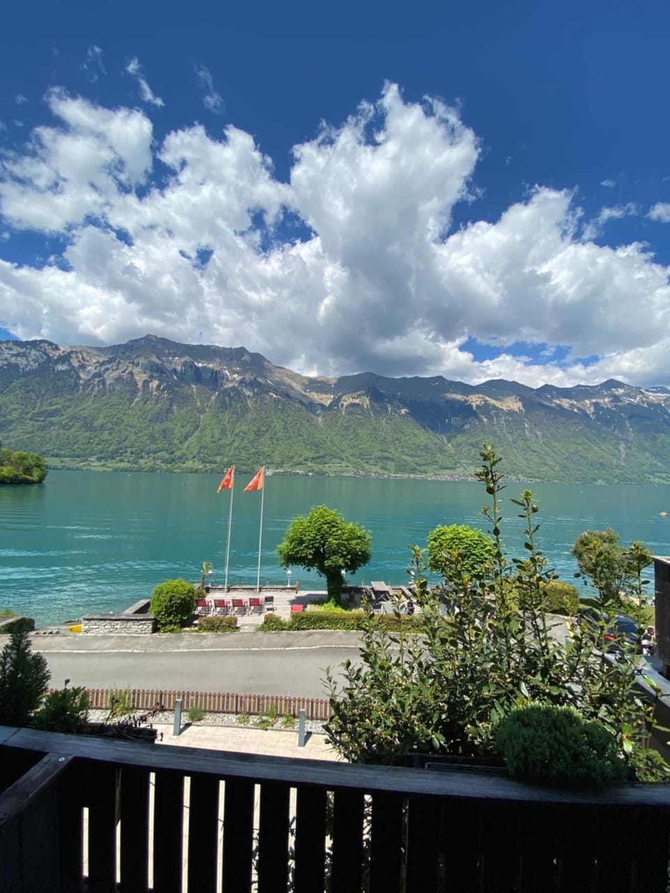 Lake view