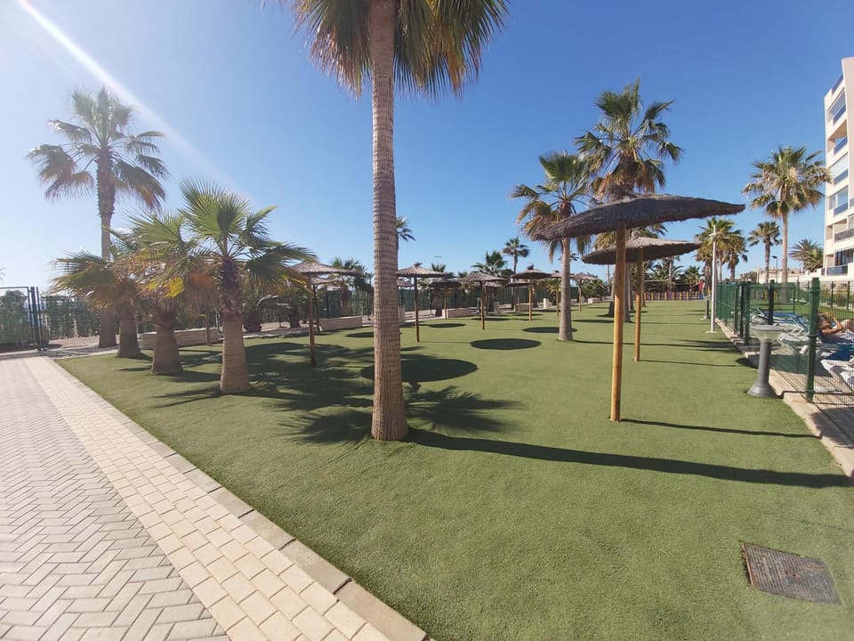 Garden, Swimming pool