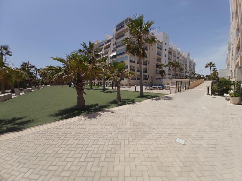 Area and facilities