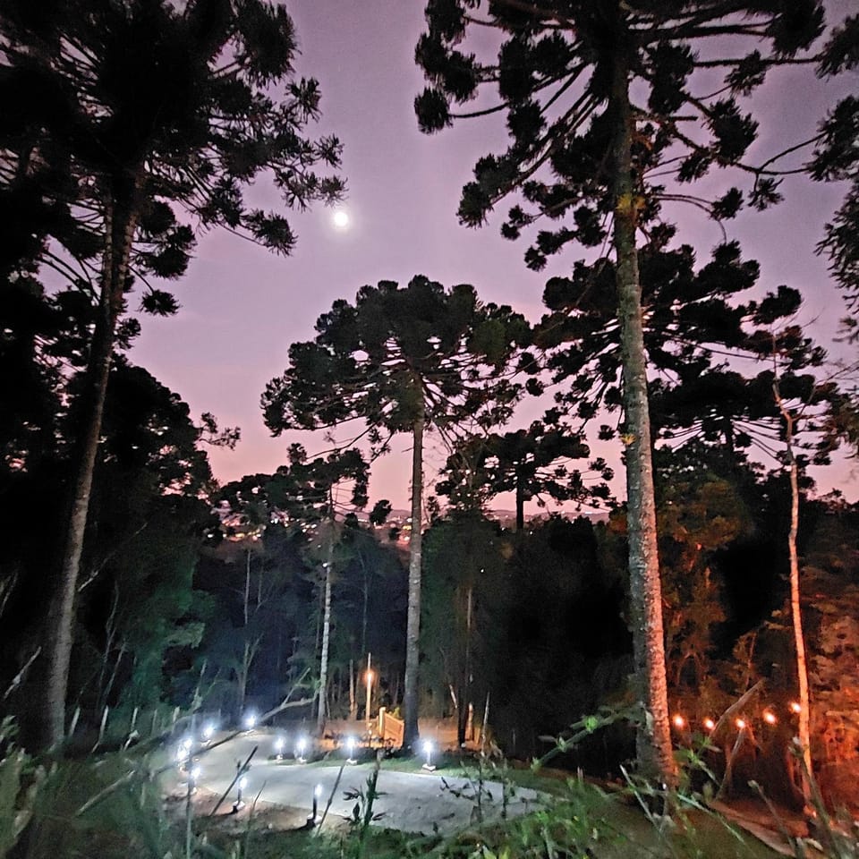 Chalé Rústico na Montanha em Campos de Jordão Chalet in Campos do Jordão