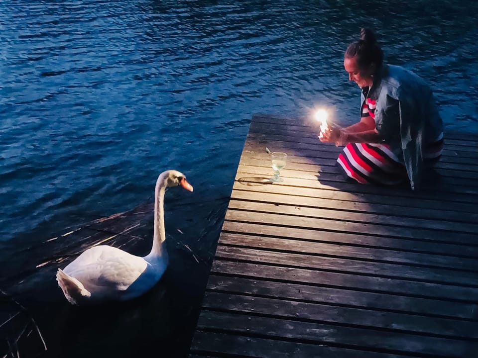 Natural landscape, Animals, Lake view