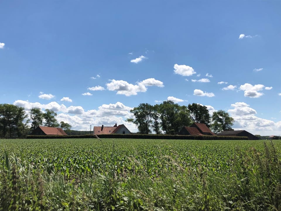 Neighbourhood, Natural landscape