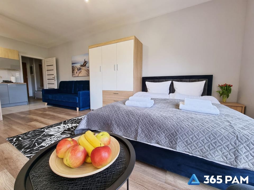 Bed, Kitchen or kitchenette, Photo of the whole room, Bedroom, wardrobe