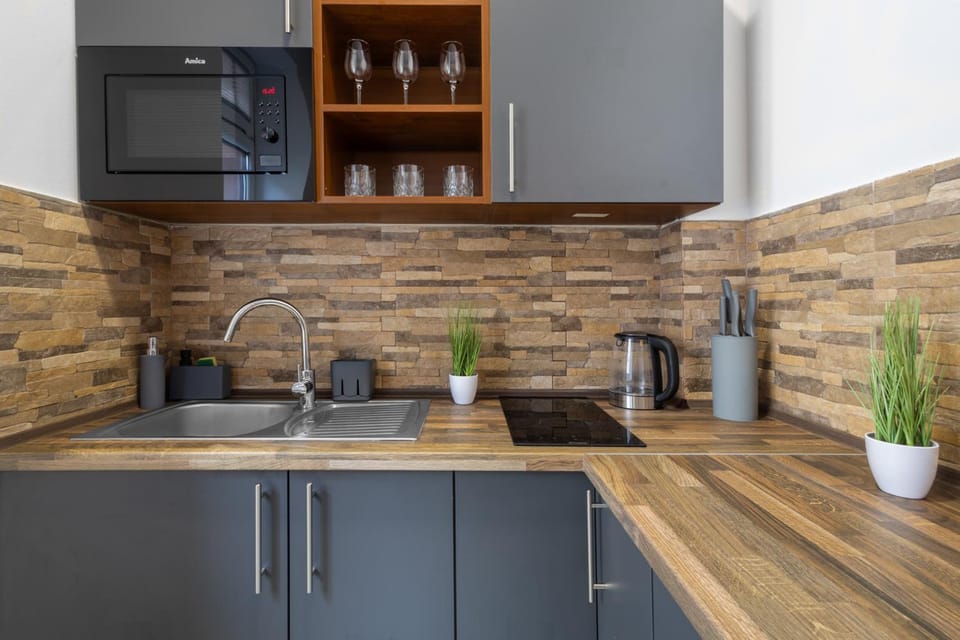 Kitchen or kitchenette, microwave, stove
