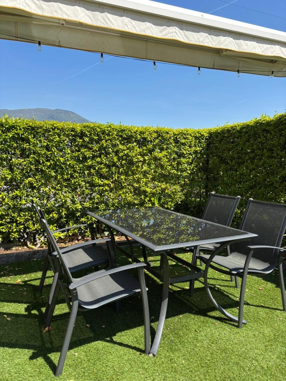 Patio, Garden, Garden view