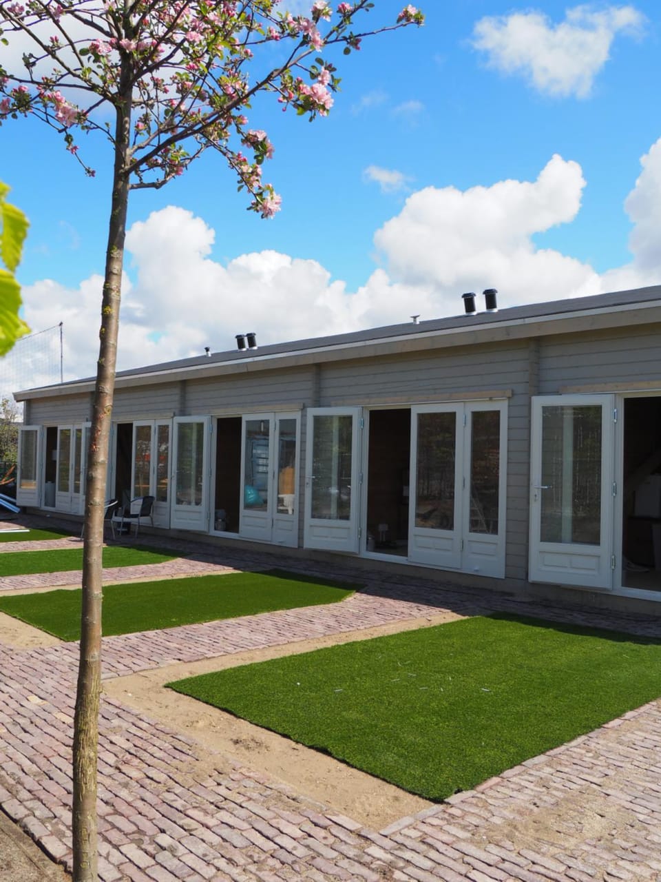 Garden, Garden view, Garden view