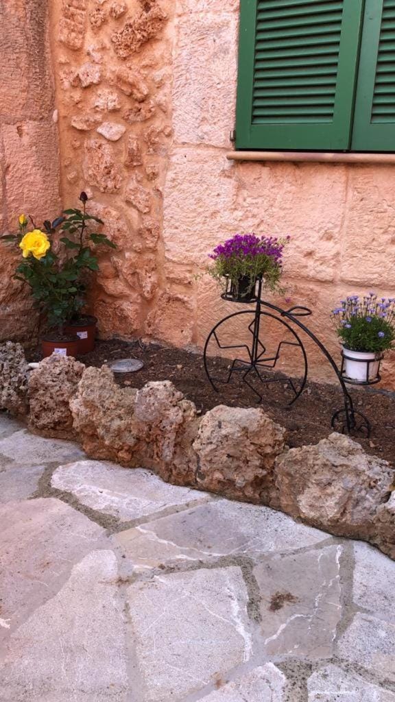 Patio, Garden
