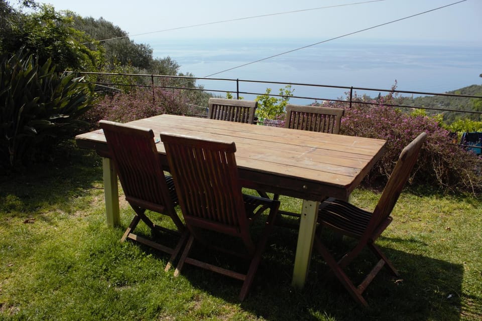 Garden, Garden view, Breakfast