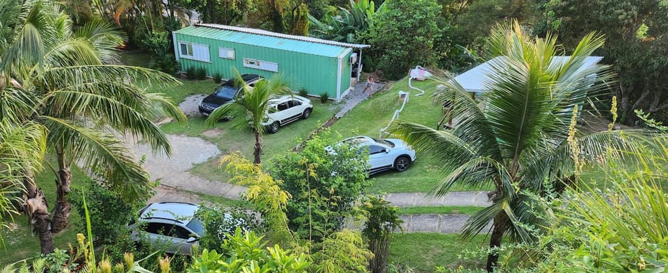 Spring, Day, Natural landscape, Garden, Garden view, Parking