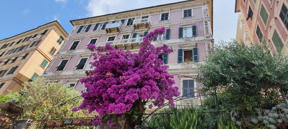 Property building, Neighbourhood, Garden