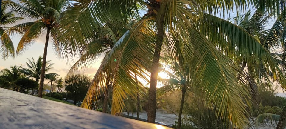 Natural landscape, Balcony/Terrace, Balcony/Terrace, Sunrise