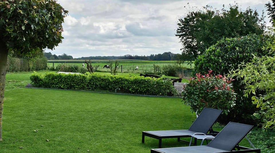 Spring, Natural landscape, Garden, Garden, Garden view, sunbed