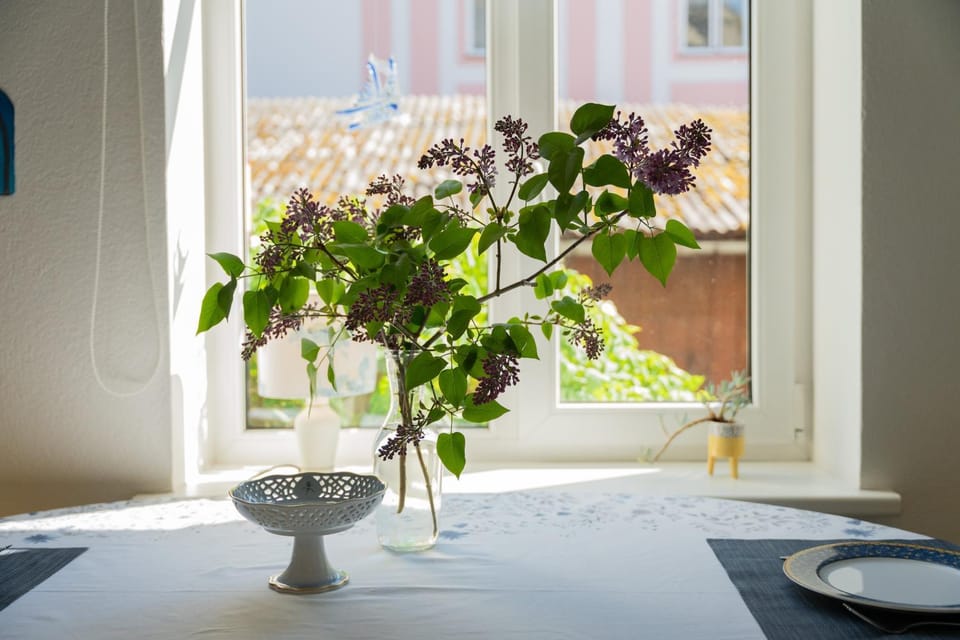 Esplanaadi Luxury Apartment Apartment in Estonia