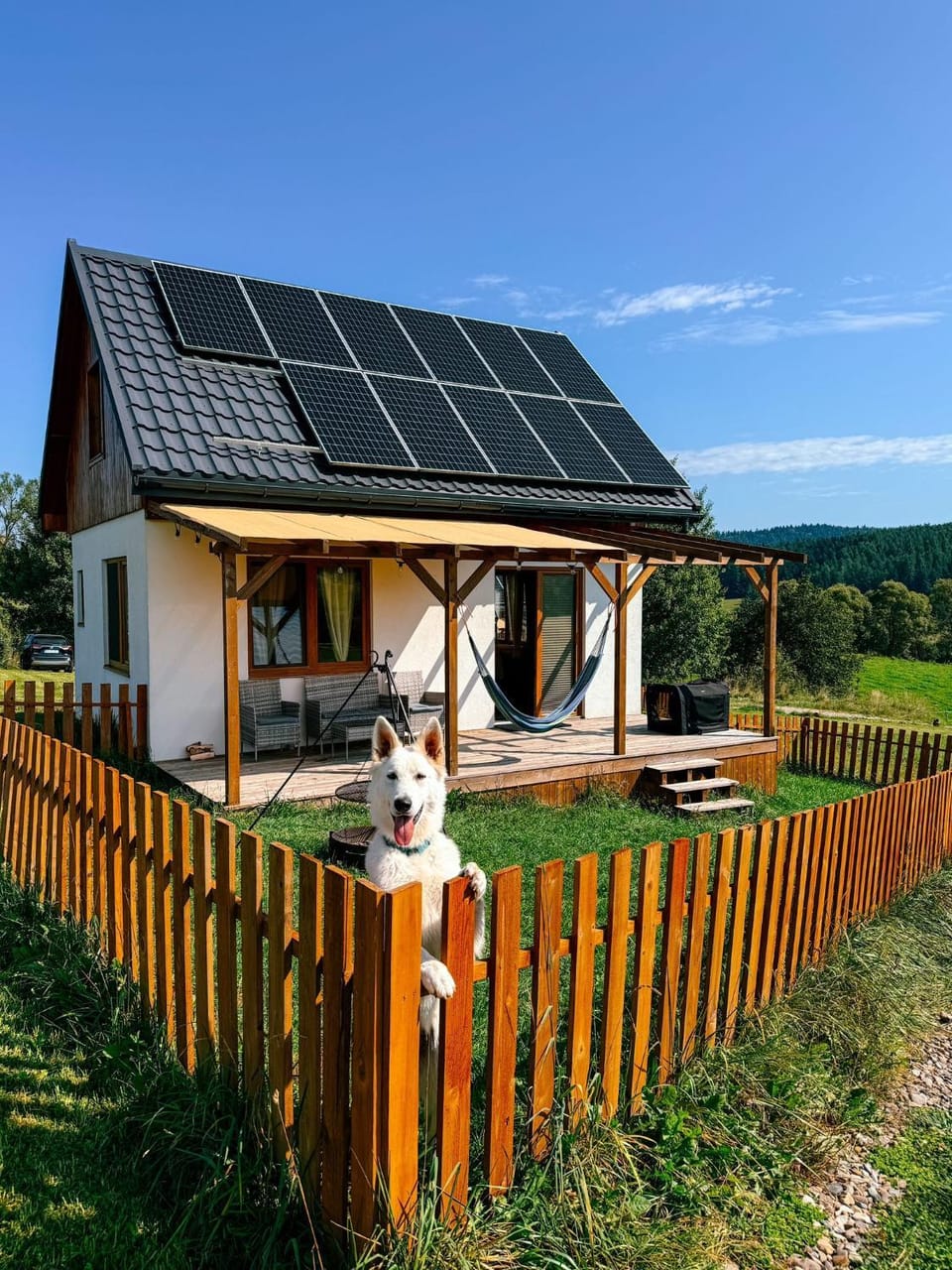 Animals, Animals, Pets, Pets, Pets, pet friendly