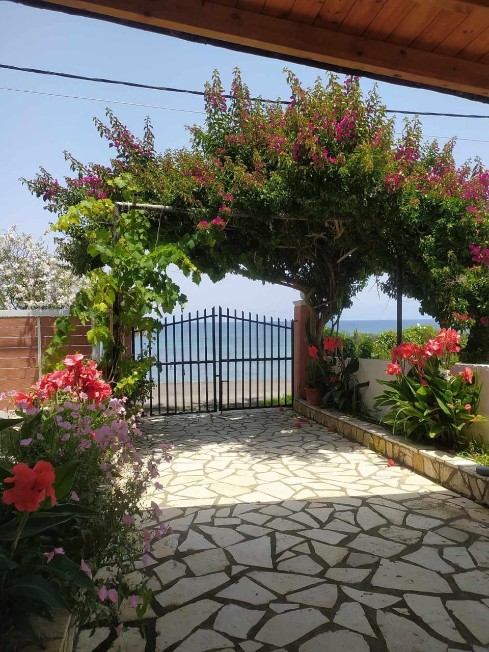 Ampelaki Studios Apartment in Corfu, Greece