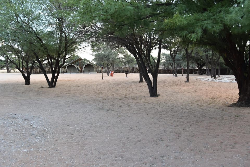 Area and facilities