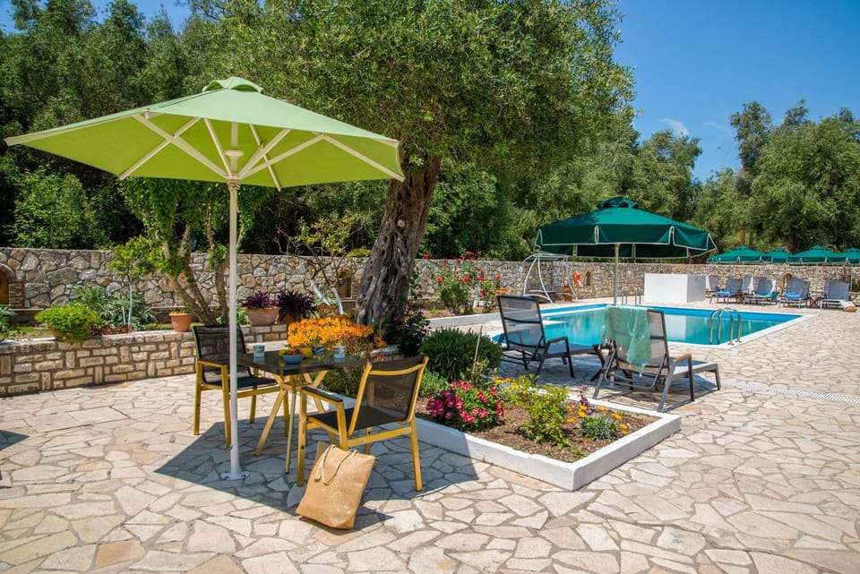 Garden, Pool view, Swimming pool, sunbed