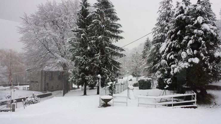 Garden, Garden view, Landmark view, Inner courtyard view