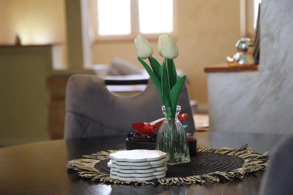 Apartment Slađana i Luna Apartment in Vojvodina