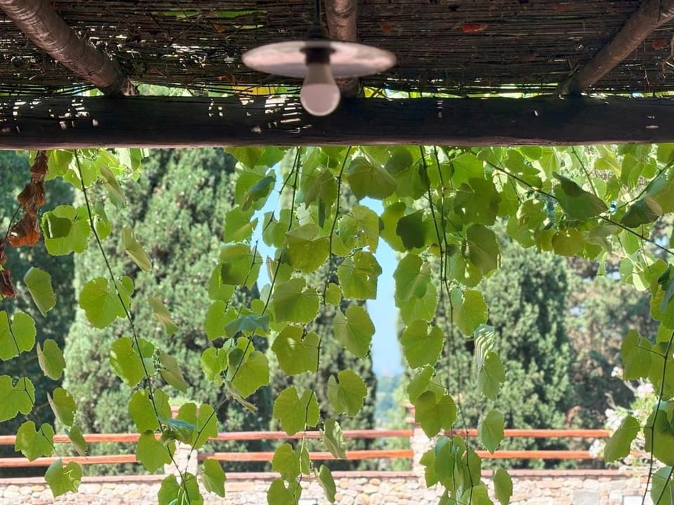 Podere Casato Farm Stay in Tuscany