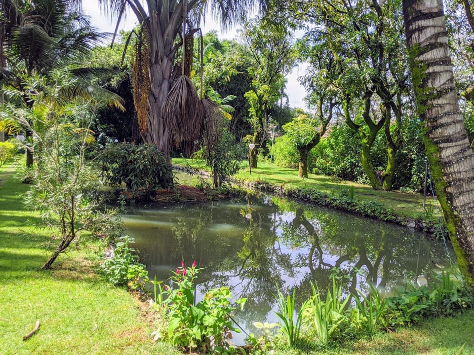 Garden, Lake view