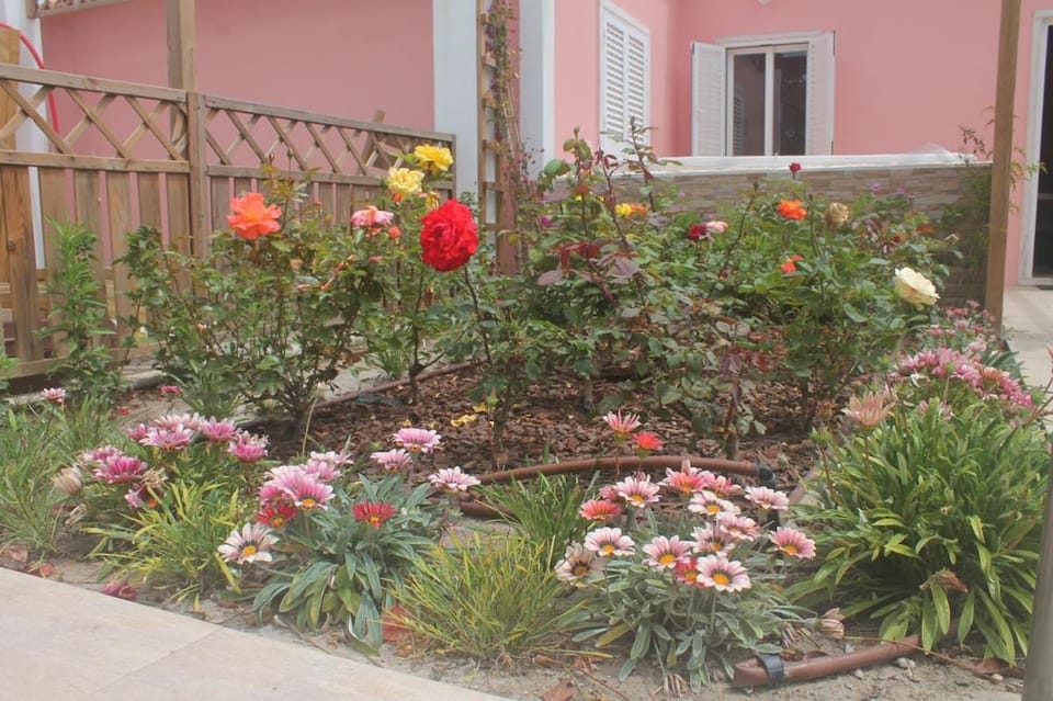 Casa dos Malmequeres House in Lisbon District