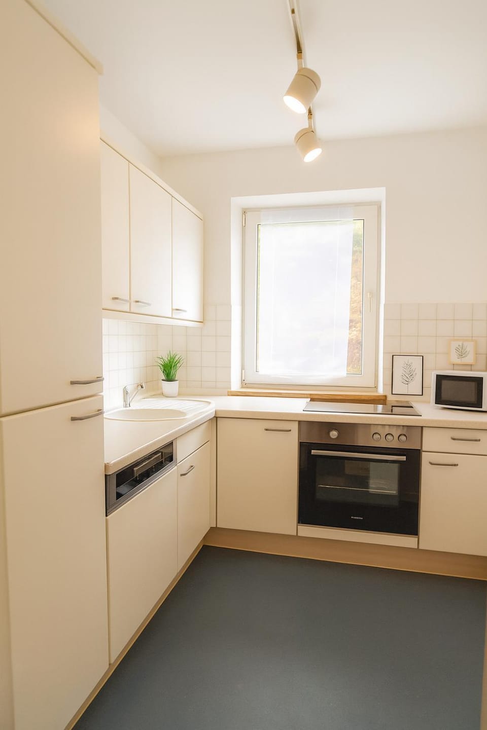 Kitchen or kitchenette, oven, stove