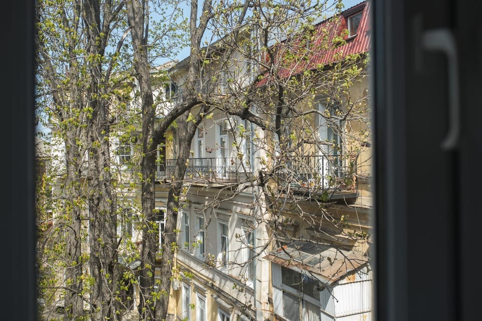 View (from property/room)