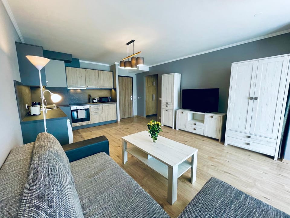 Communal lounge/ TV room, TV and multimedia, Kitchen or kitchenette, Living room, Seating area, Evening entertainment, minibar, pet friendly, stove, wardrobe