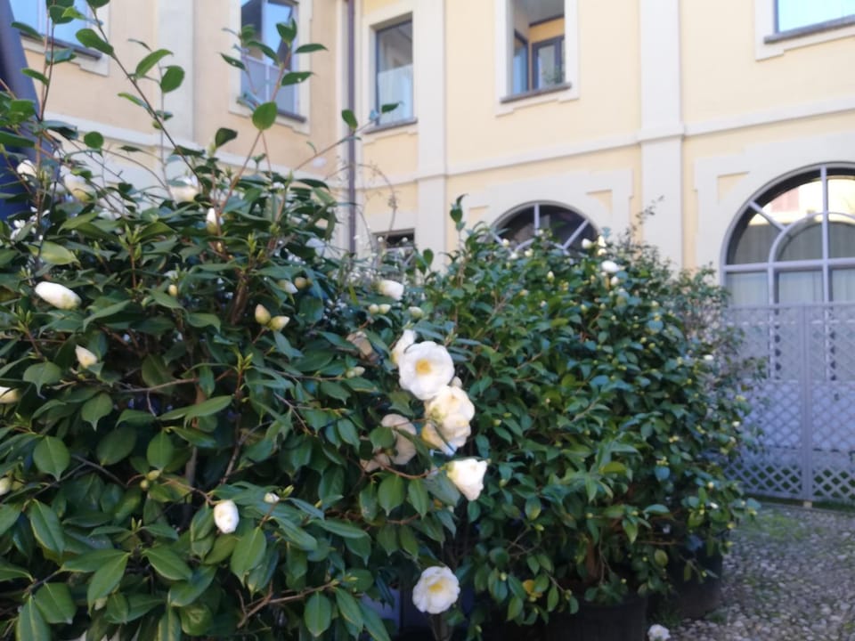 Lisander B&B suite and terrace Bed and Breakfast in Lombardy