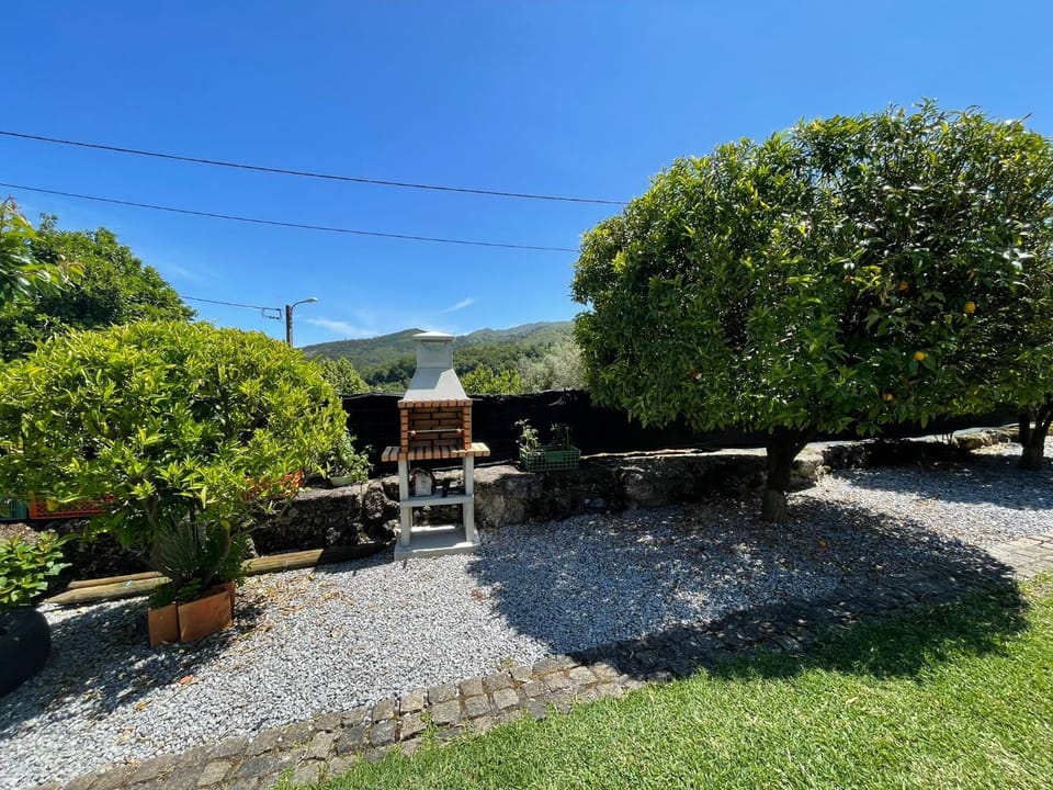 Spring, Day, Natural landscape, Garden, Garden view, Mountain view