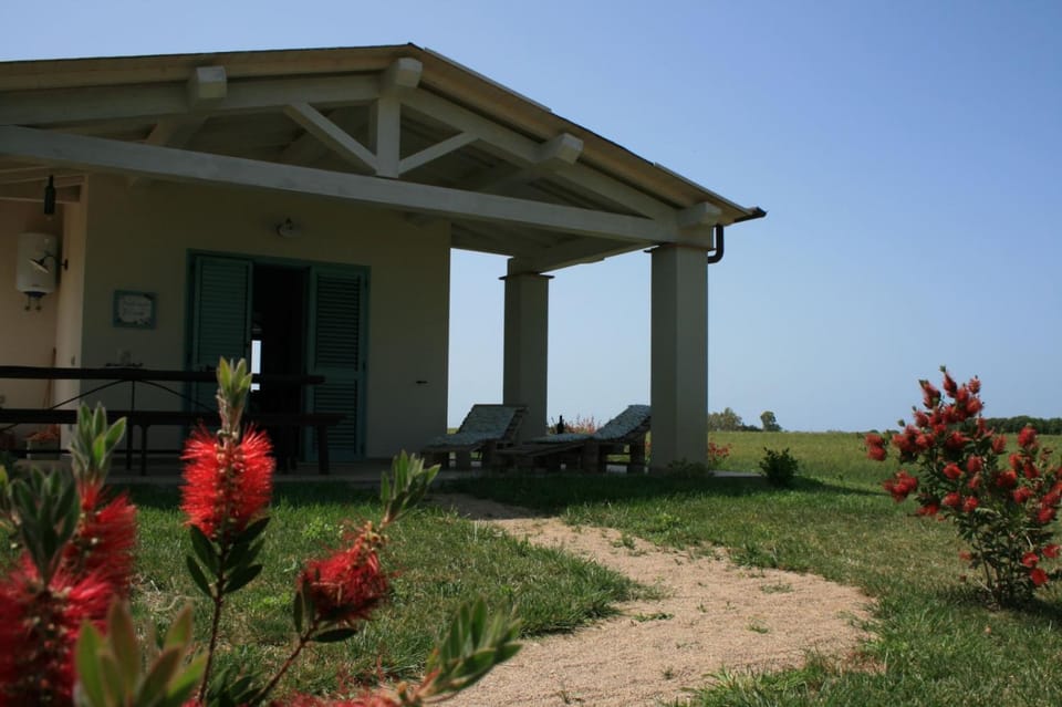 Agriturismo podere 678 Apartment in Tuscany