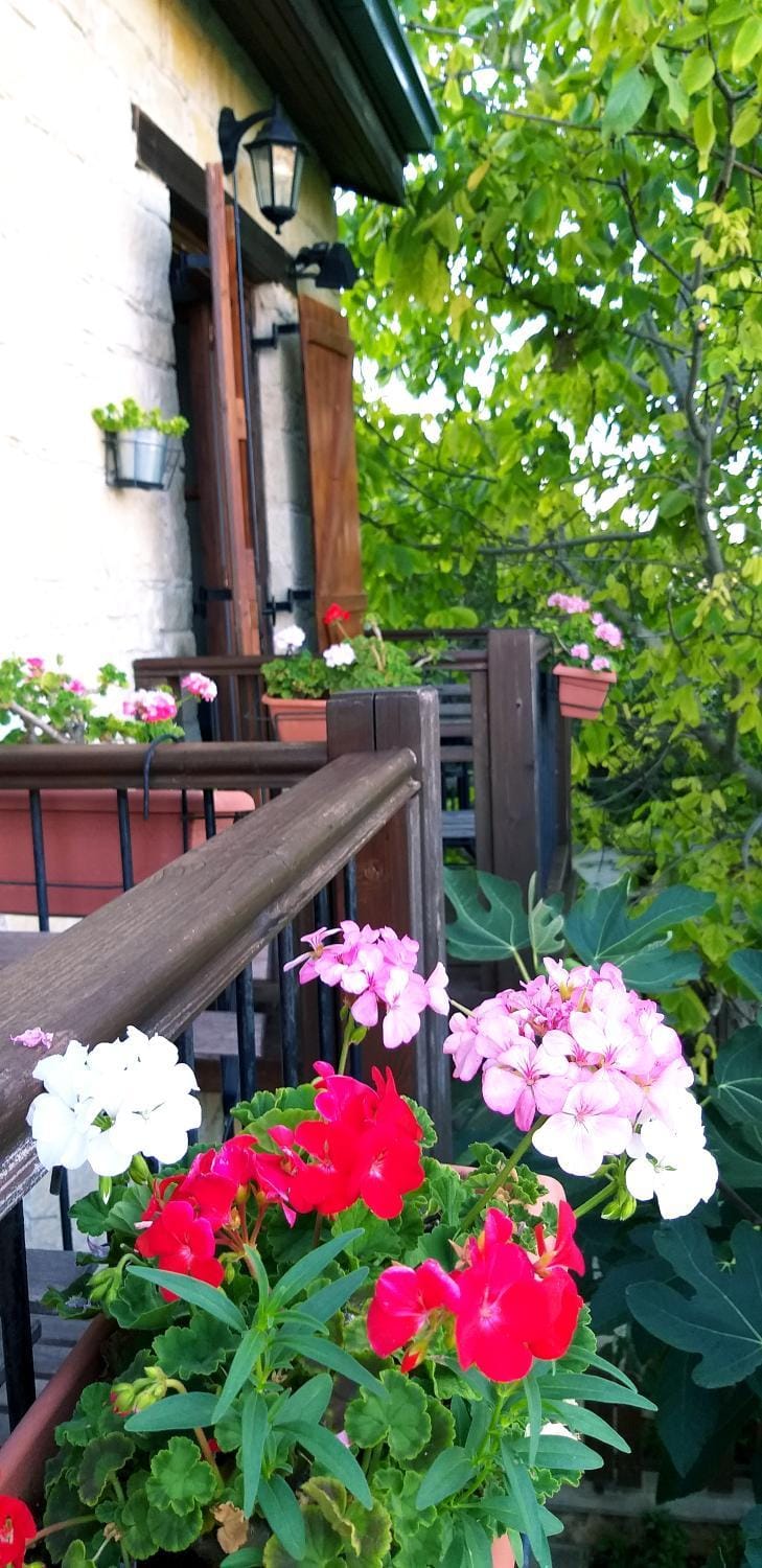 Balcony/Terrace
