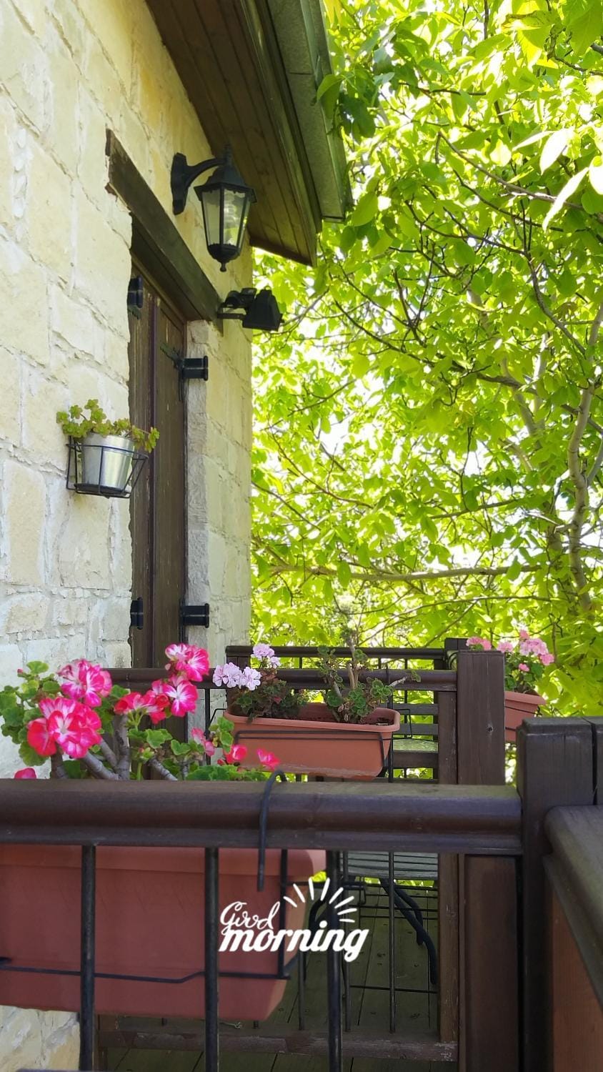 Balcony/Terrace