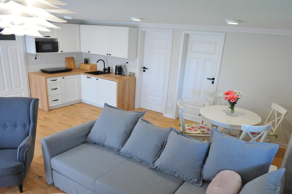 Kitchen or kitchenette, Living room, Seating area, Dining area