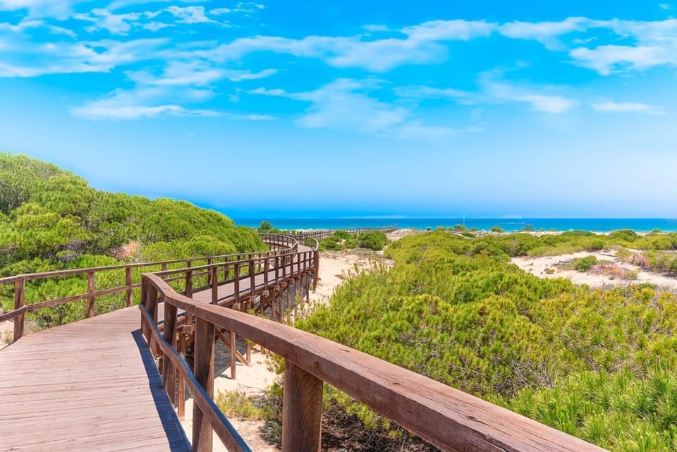 Nordic Style Top Apartment: Sea views, terrace and pool Apartment in Costa Blanca