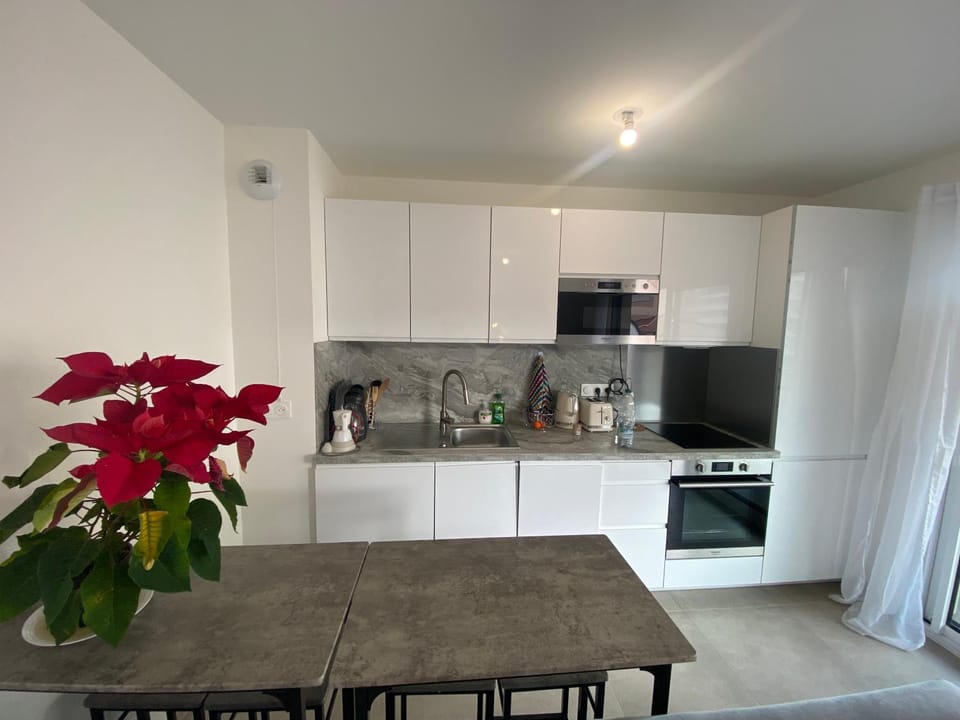 Wonderful apartment near Monaco and the beach Apartment in Roquebrune-Cap-Martin