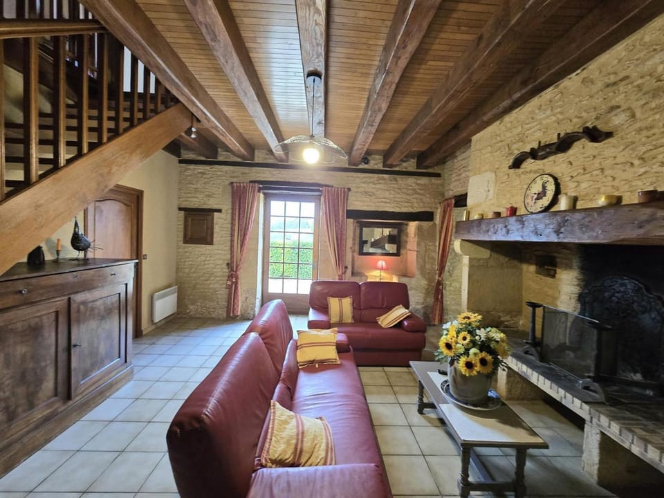 Charmante maison périgourdine en pierres, animaux admis - FR-1-616-88 House in Occitanie
