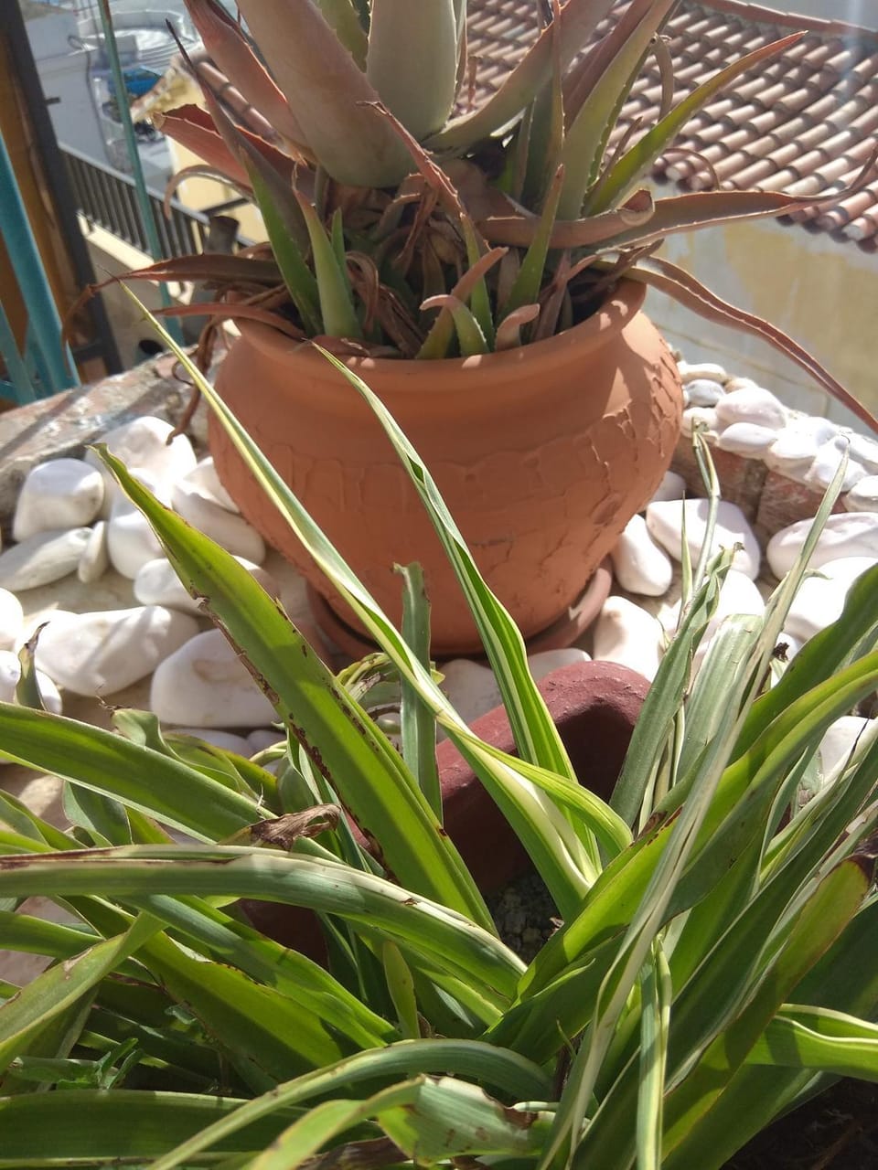 Property building, Balcony/Terrace