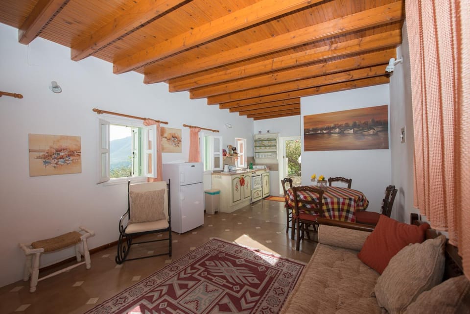 Kitchen or kitchenette, Living room, Seating area, Dining area