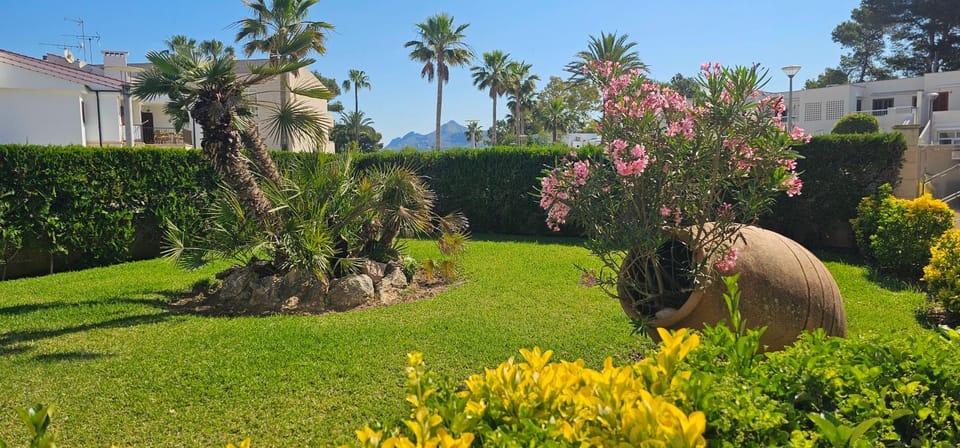 Garden view