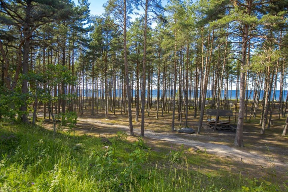 Day, Natural landscape